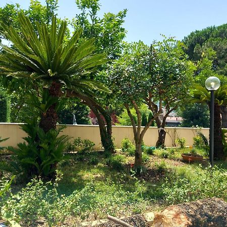 Villa Maria Cristina D'Amico Cava deʼ Tirreni Eksteriør bilde