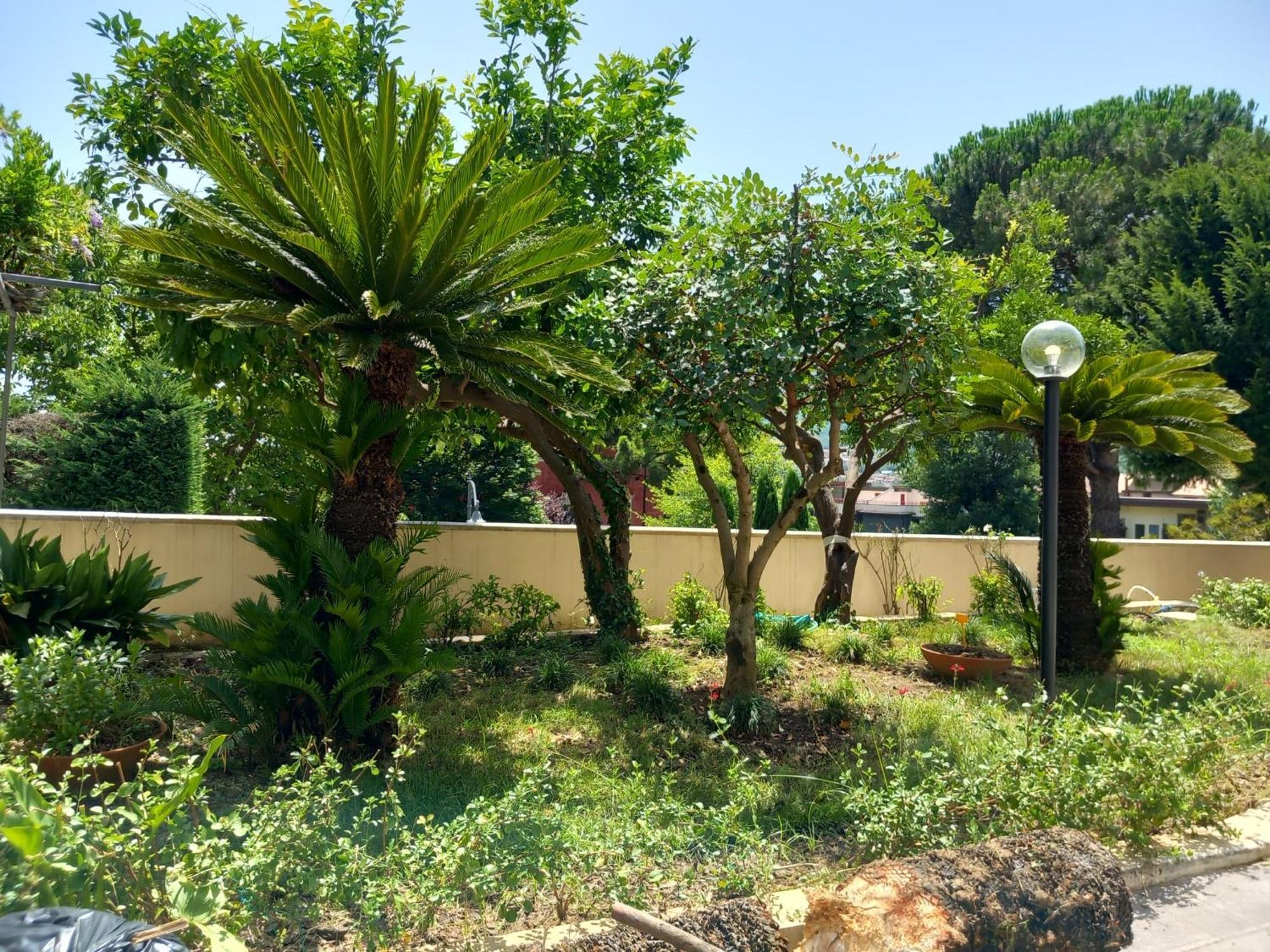 Villa Maria Cristina D'Amico Cava deʼ Tirreni Eksteriør bilde